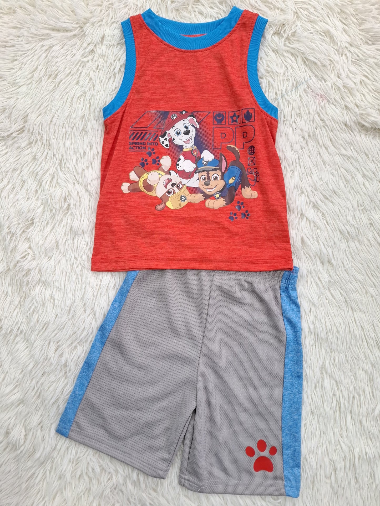 Set Paw Patrol