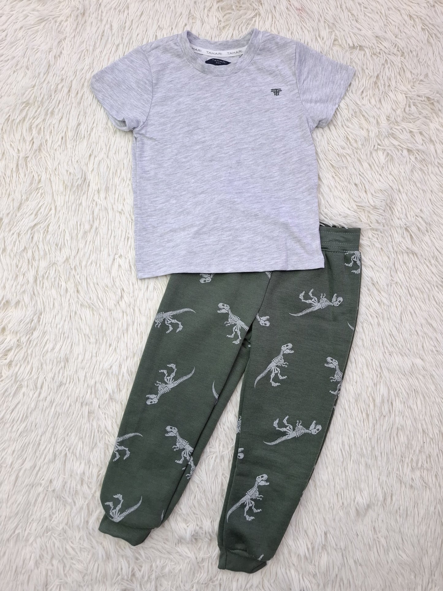 Set Dino