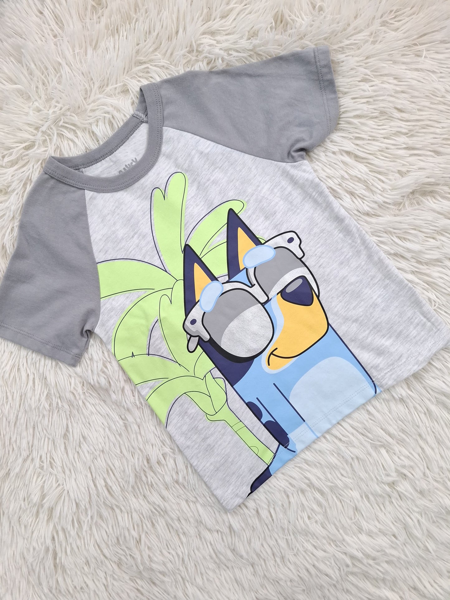 Set Bluey