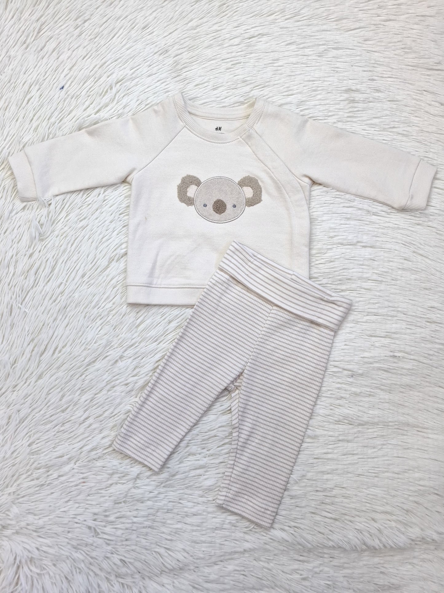 Set koala