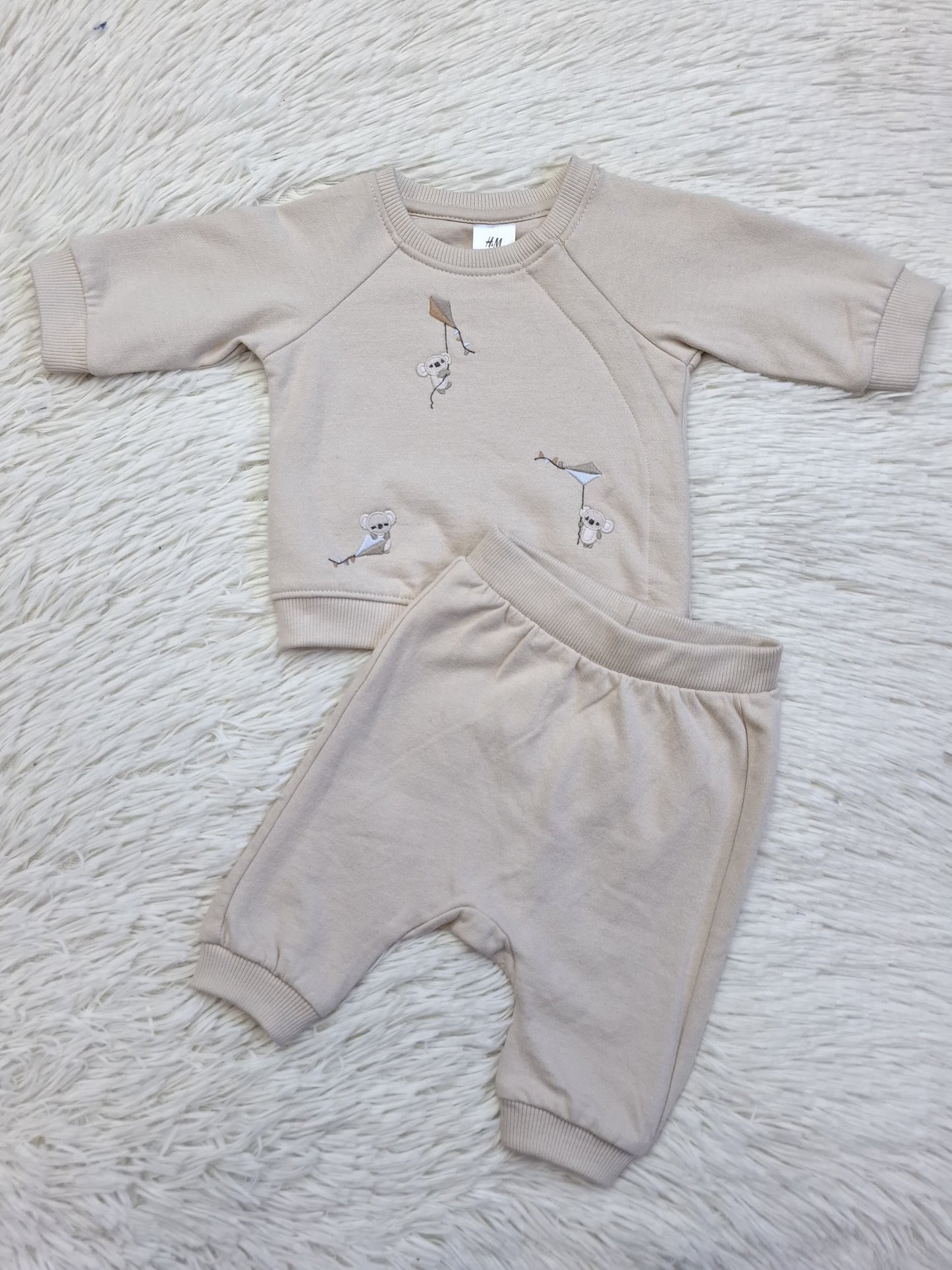 Set beige koala