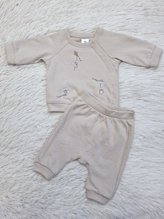 Set beige koala