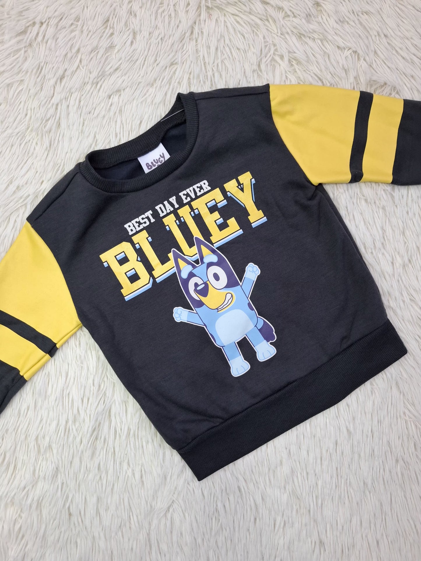 Set Bluey