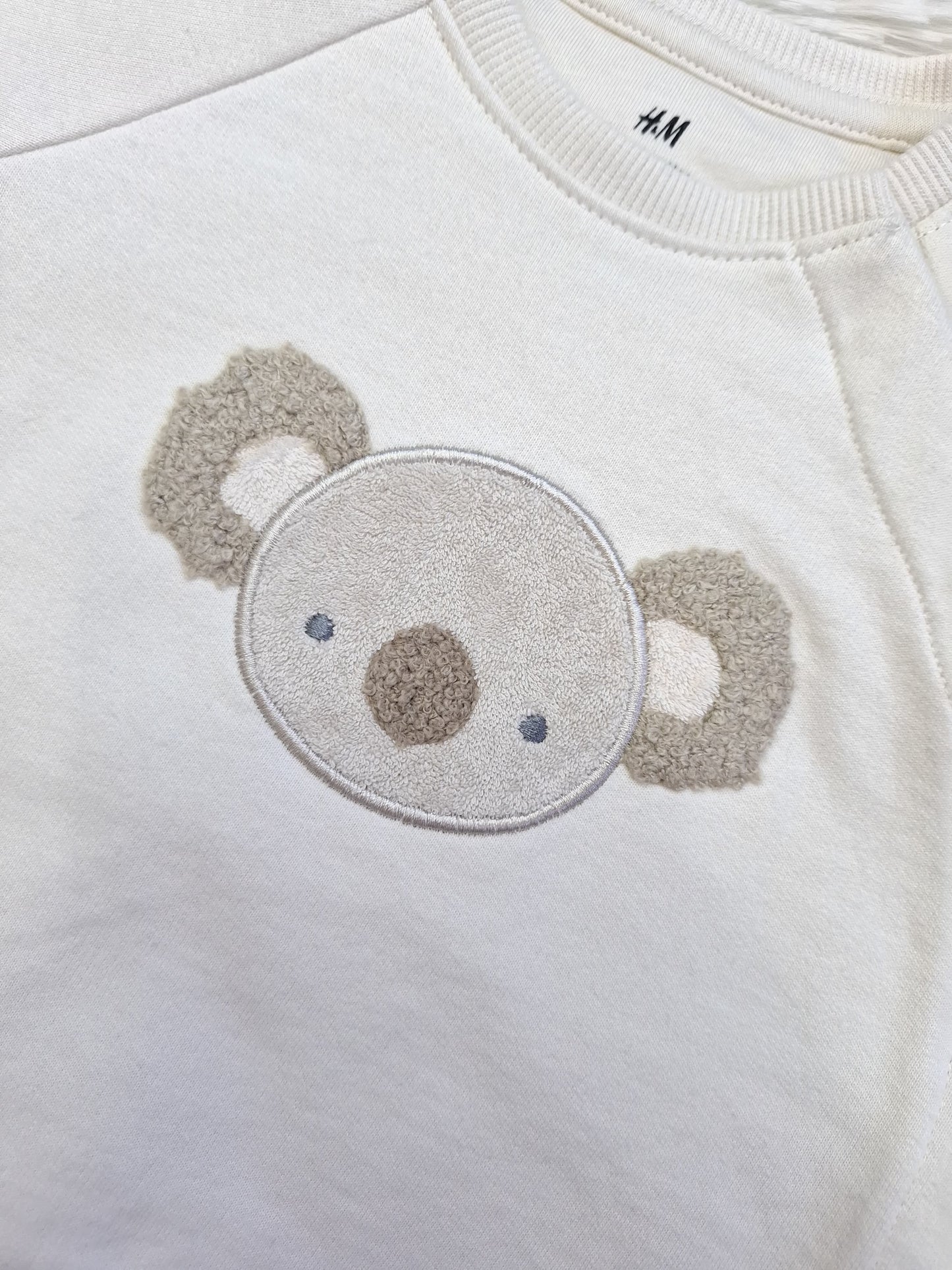 Set koala