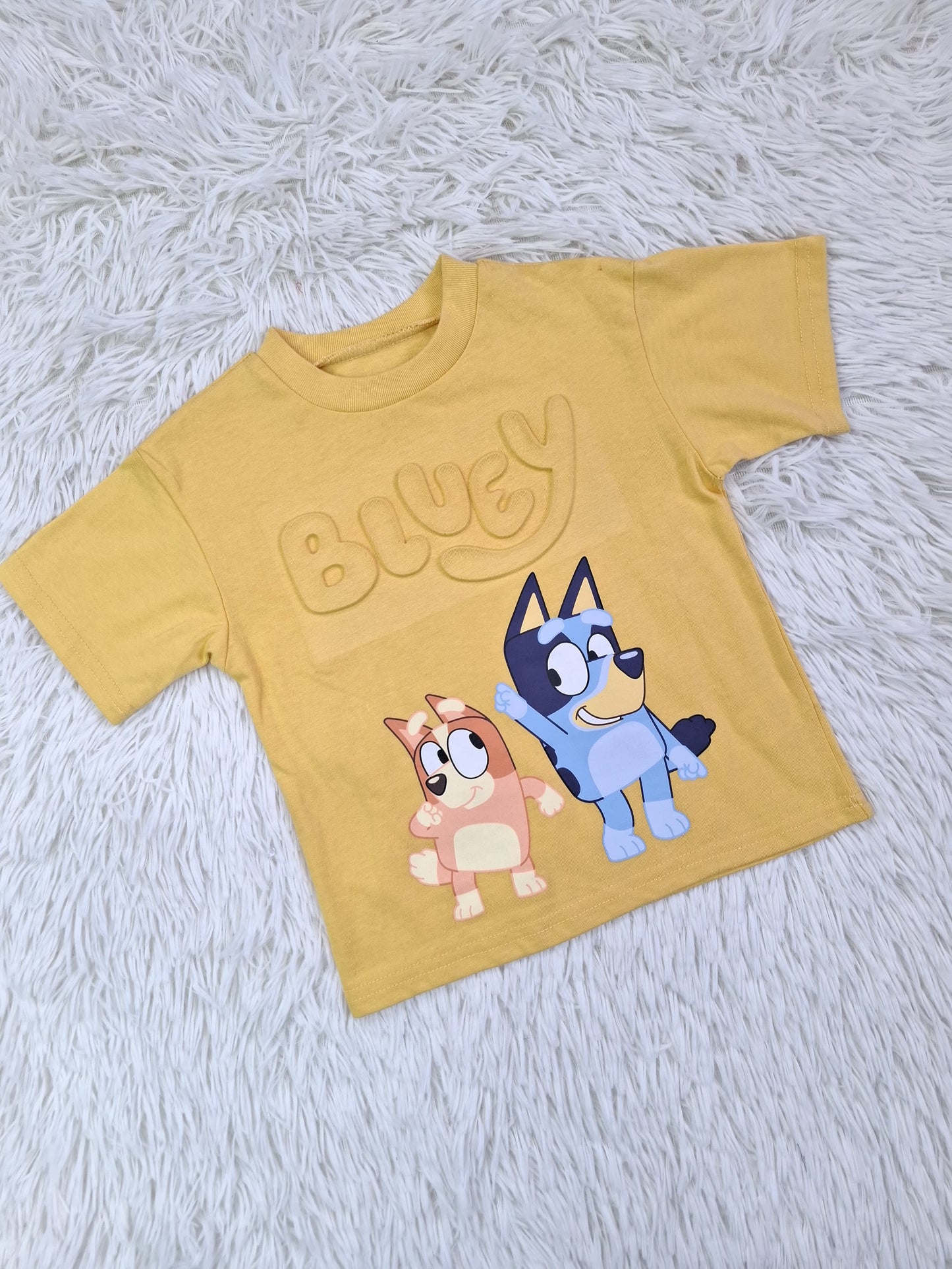 Set Bluey