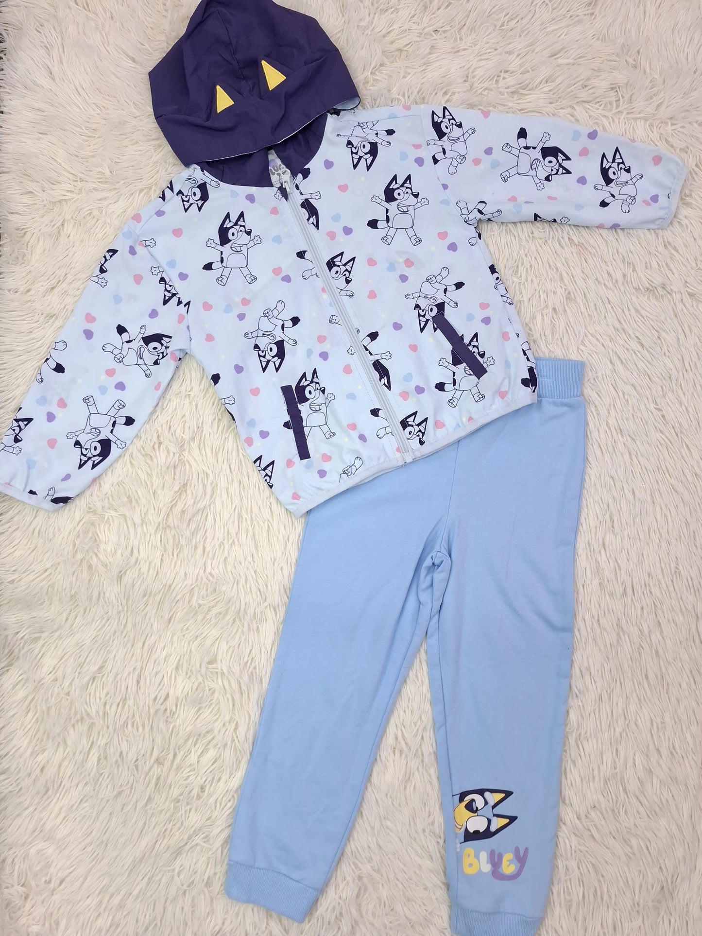 Set Bluey